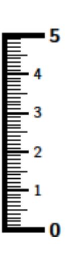 Linjal i målestokk 1:1