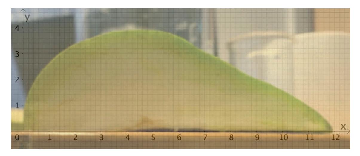 Pæresnitt i koordinatsystem